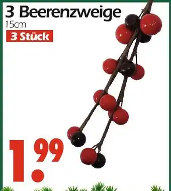 Wreesmann 3 beerenzweige Angebot