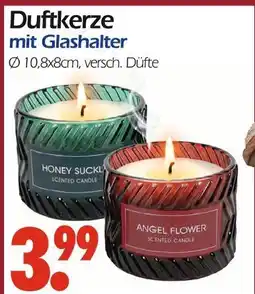 Wreesmann Honey suckle Angebot