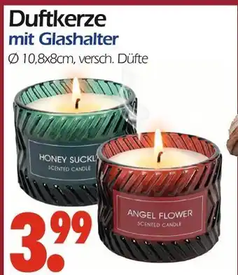 Wreesmann Honey suckle Angebot