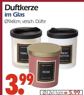 Wreesmann Duftkerze Angebot
