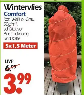 Wreesmann Wintervlies comfort Angebot