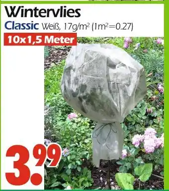 Wreesmann Classic wintervlies Angebot