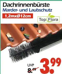 Wreesmann Top flora dachrinnenbürste Angebot