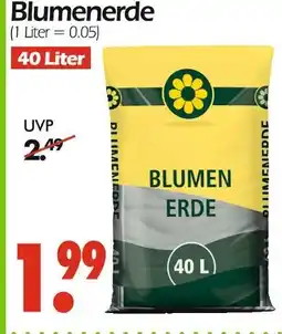 Wreesmann Blumenerde Angebot