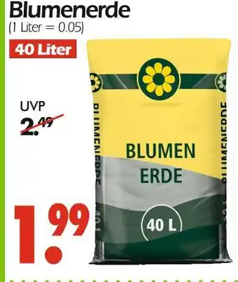 Wreesmann Blumenerde Angebot