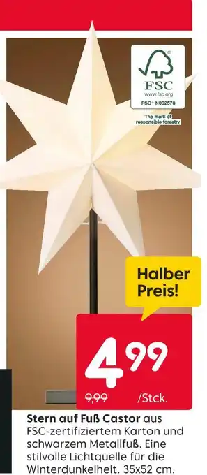 Rusta Stern auf fuß castor Angebot