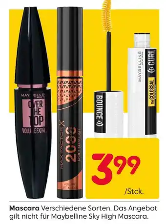 Rusta Maybelline mascara Angebot