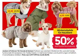 Rusta Pullover Angebot