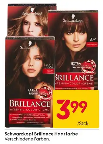 Rusta Schwarzkopf brillance haarfarbe Angebot