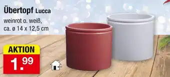 Zimmermann Übertopf lucca Angebot