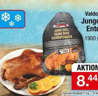 Zimmermann Valdor junge ente Angebot
