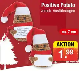 Zimmermann Positive potato Angebot