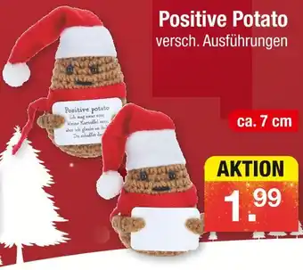Zimmermann Positive potato Angebot