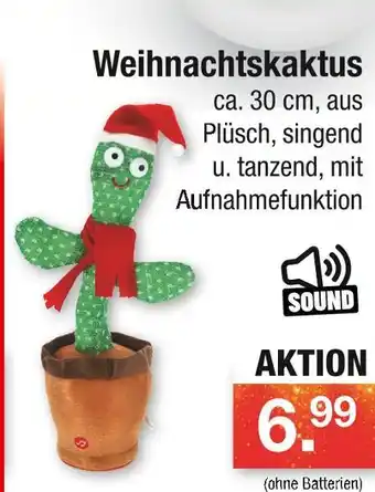 Zimmermann Weihnachtskaktus Angebot