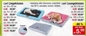 Zimmermann Lief! liegekissen Angebot