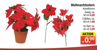 Zimmermann Weihnachtsstern kunstblume Angebot