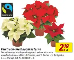 toom Baumarkt Fairtrade fairtrade-weihnachtssterne Angebot