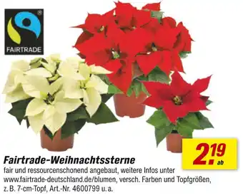 toom Baumarkt Fairtrade fairtrade-weihnachtssterne Angebot
