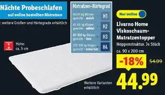 Lidl Livarno Home Viskoschaum Matratzentopper Angebot