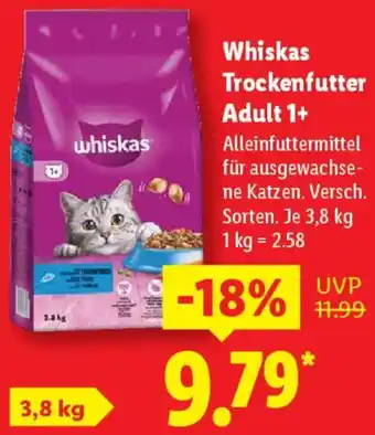 Lidl Whiskas Trockenfutter Adult 1+ Angebot