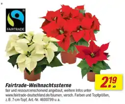 toom Baumarkt Fairtrade-Weihnachtssterne Angebot