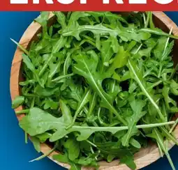 Aldi Süd Rucola Angebot