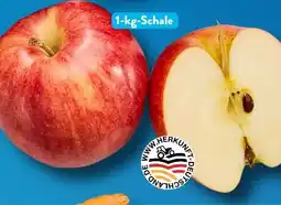 Aldi Süd Äpfel Gala Angebot