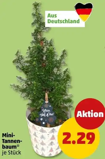 PENNY Mini Tannenbaum Angebot