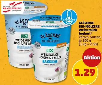 PENNY GLÄSERNE BIO-MOLKEREI Weidemilch Joghurt Angebot