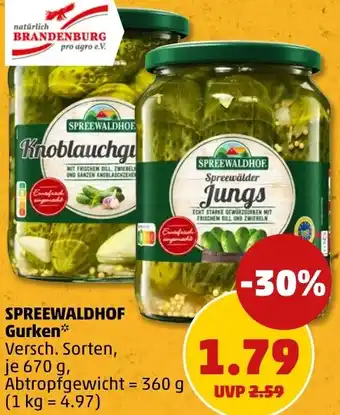 PENNY SPREEWALDHOF Gurken Angebot