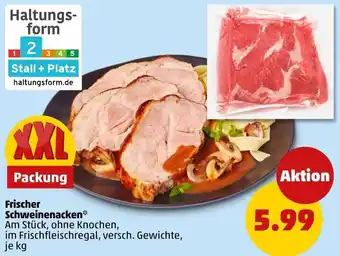 PENNY Frischer Schweinenacken Angebot