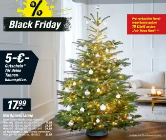 toom Baumarkt Nordmanntanne Angebot