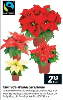 toom Baumarkt Fairtrade-Weihnachtssterne Angebot