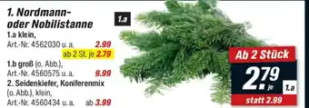 toom Baumarkt 1. Nordmann- oder Nobilistanne Angebot