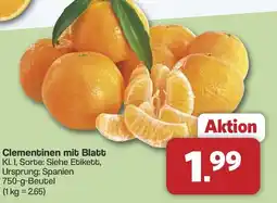 Famila Nord West Clementinen mit Blatt Angebot