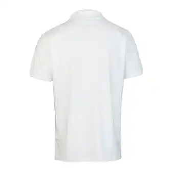 Netto Marken-Discount Harvey Miller Shirt Poloshirt Polo Club Jersey Angebot