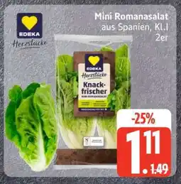 Edeka Mini-Romanasalat Angebot