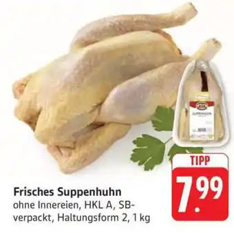 Edeka Frisches Suppenhuhn Angebot