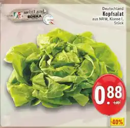 Edeka Kopfsalat Angebot
