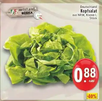 Edeka Kopfsalat Angebot