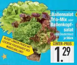 Edeka Ballensalat Trio-Mix oder Ballenkopfsalat Angebot