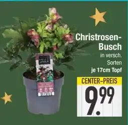 Edeka Christrosen-Busch Angebot