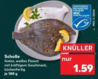 Kaufland Scholle Angebot