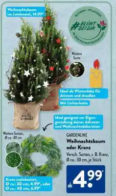 Aldi Süd Weihnachtsbaum oder Kranz Angebot