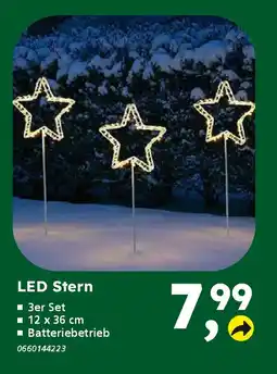 Globus Baumarkt LED Stern Angebot