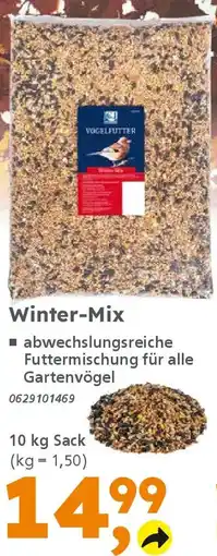 Globus Baumarkt Winter-Mix Angebot