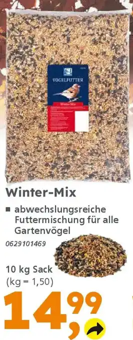 Globus Baumarkt Winter-Mix Angebot