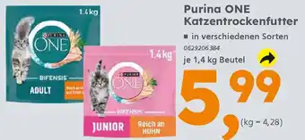 Globus Baumarkt Purina ONE Katzentrockenfutter Angebot