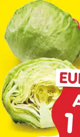 Netto Marken-Discount MarktTag Eisbergsalat Angebot