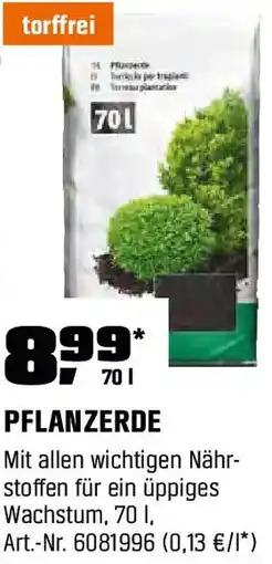 OBI Pflanzerde Angebot
